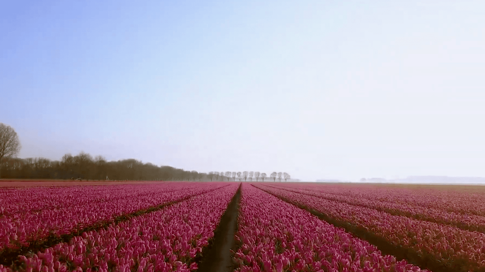 Aankondigingsvideo VGS congres 2026